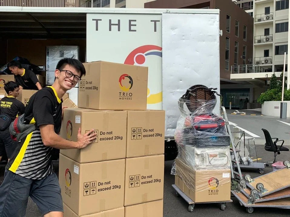 Image 20: The Trio Mover Movers