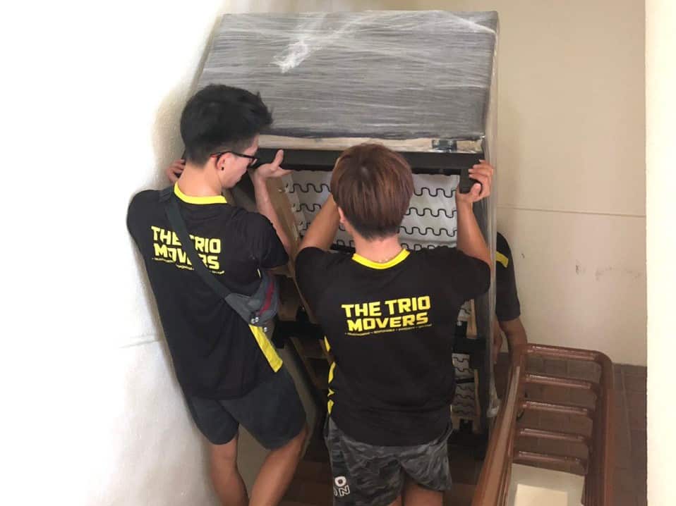 The Trio Movers 14 The Trio Mover Staris