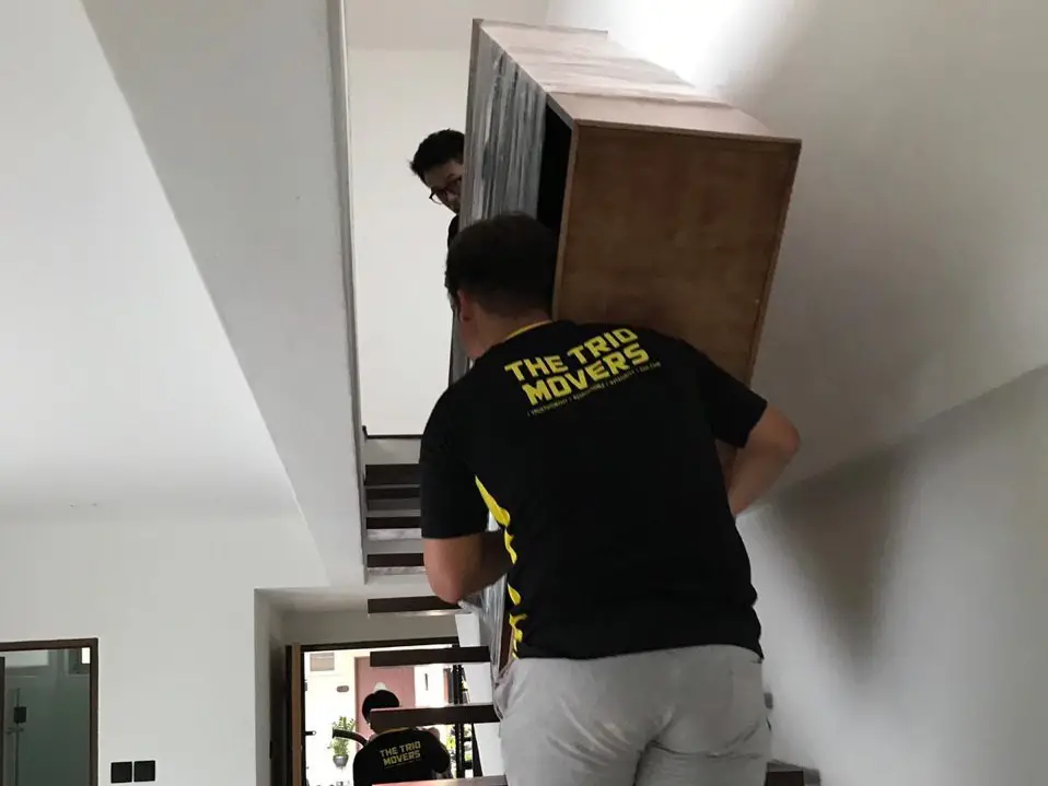 Image 23: The Trio Mover Moving Up Stairs